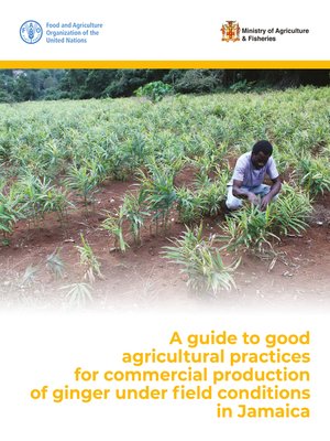 cover image of A Guide to Good Agricultural Practices for Commercial Production of Ginger under Field Conditions in Jamaica